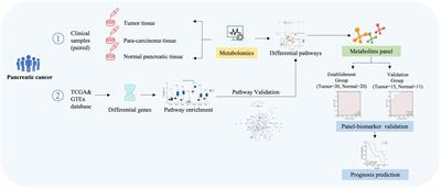 Tissue metabolomics identified new biomarkers for the diagnosis and prognosis prediction of pancreatic cancer